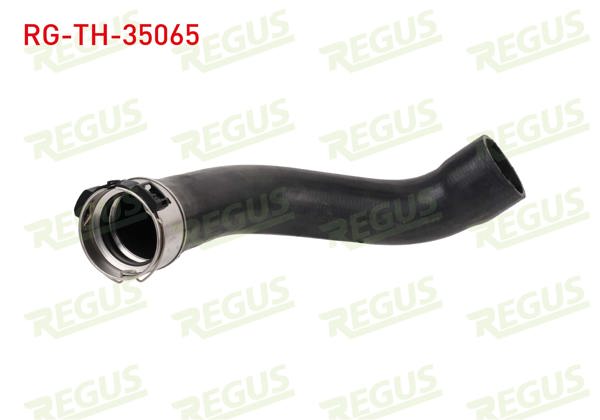 REGUS RG-TH-35065 | Turbo Hortumu Clio IV / Duster / Dokker / Lodgy 1.2 TCE