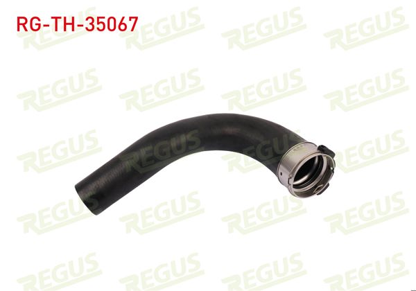 REGUS RG-TH-35067 | Turbo Hortumu Büyük Master III 2.3 DCI 2010 -