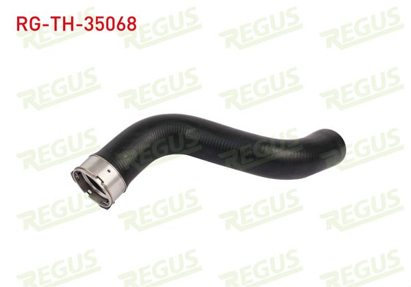 REGUS RG-TH-35068 | Turbo Hortumu Fluence / Megane III 1.6 DCI