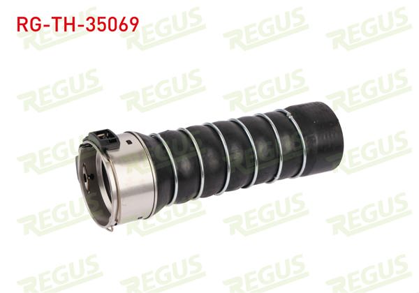 REGUS RG-TH-35069 | Turbo Hortumu Clio III 1.5 DCI