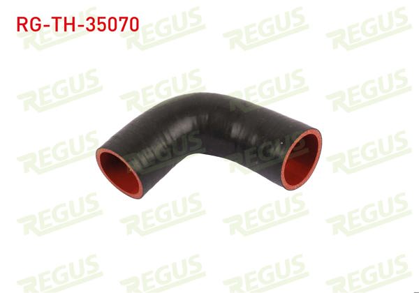 REGUS RG-TH-35070 | Turbo Hortumu Traffic 2.5 DCI