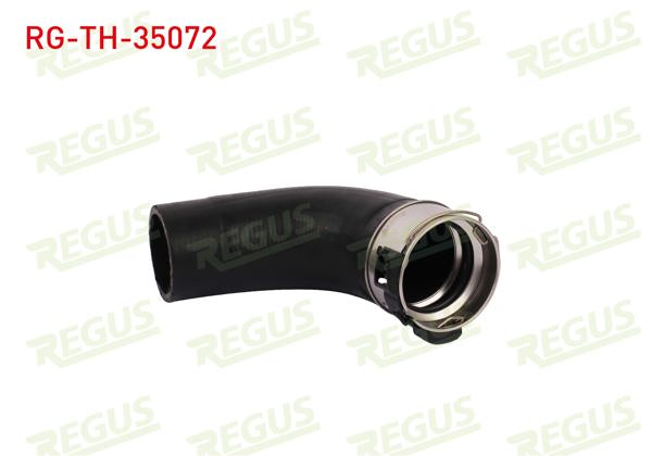 REGUS RG-TH-35072 | Turbo Hortumu Megane IV / Talisman 1.6 DCI