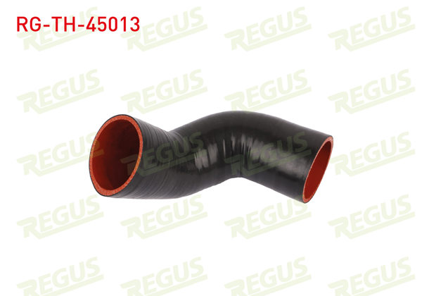 REGUS RG-TH-45013 | Turbo Hortumu S60 / S80 / V60 / Xc60 / Xc70