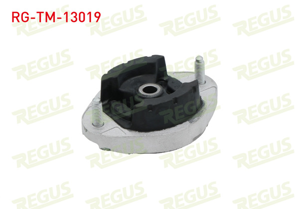 REGUS RG-TM-13019 | Şanzıman Takozu Audi A4 (8E2,B6) 1.6 2000-2004