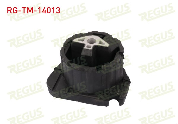 REGUS RG-TM-14013 | Şanzıman Takozu On BMW X5 (E70) 3.0 D 2007-2012