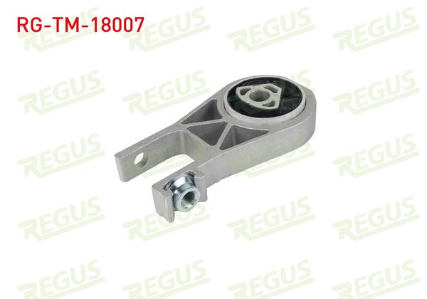 REGUS RG-TM-18007 | Şanzıman Takozu Ducato III 2006-/ Boxer III 2006-/ Jumper III 2006 -
