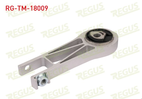 REGUS RG-TM-18009 | Şanzıman Takozu Ducato 3.0 JTD / Jumper / Boxer 3.0 HDI 2006 -