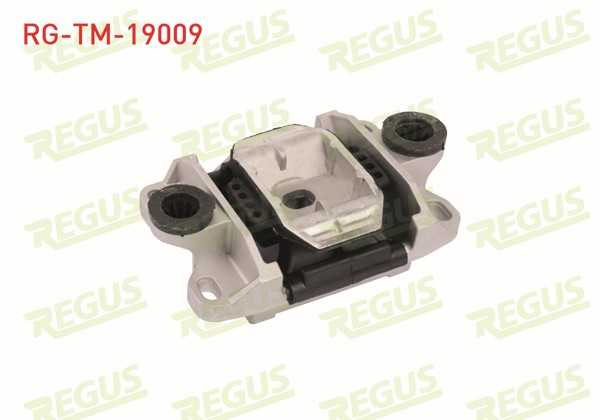 REGUS RG-TM-19009 | Şanzıman Takozu Ön Sol Ford Mondeo III 1.6 TDCI 2000-2007