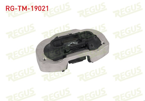 REGUS RG-TM-19021 | Şanzıman Takozu Alt Ford Transit (V363) 2014