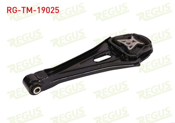 REGUS RG-TM-19025 | Şanzıman Takozu Alt Custom V362-Transit V363