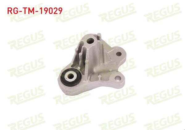 REGUS RG-TM-19029 | Şanzıman Takozu Alüminyum Braket Focus 1.6 2004 -