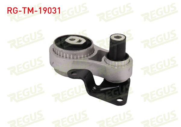 REGUS RG-TM-19031 | Şanzıman Takozu Fiesta 2001 -