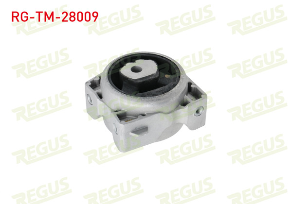 REGUS RG-TM-28009 | Şanzıman Takozu Arka Sol Mercedes A Class (W169) A 150 2004-2012