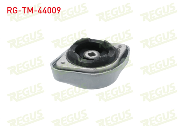 REGUS RG-TM-44009 | Şanzıman Takozu Audi A4 (8E2,B6) 1.6 2000-2004