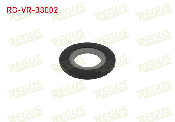 REGUS RG-VR-33002 | Flans Peugeot 406 (8B) 1.6 1995-2004