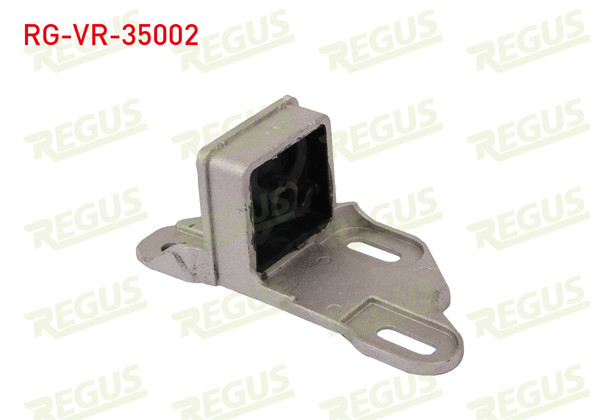 REGUS RG-VR-35002 | Egzoz Takozu Arka Renault Clio Symbol 1.4 1998-2005