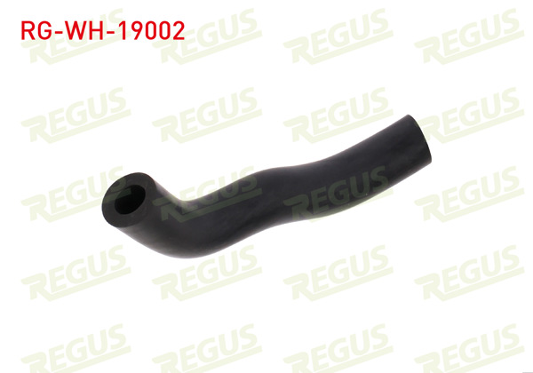 REGUS RG-WH-19002 | Vakum Hortumu Ford Mondeo IV 1.8 TDCI 2007-2014