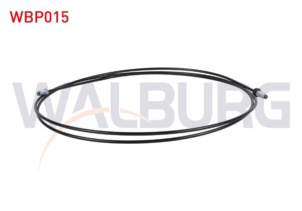 WALBURG WBP015 | Fren Borusu Onden Arka (Lımıtorden Merkeze) 300 Cm Renault 9 | 5 Adet