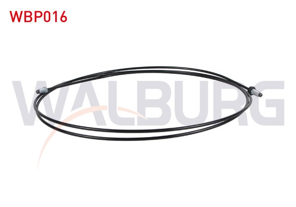 WALBURG WBP016 | Fren Borusu Onden Arka (Merkezden Lımıtore) 300 Cm Renault 9 | 5 Adet