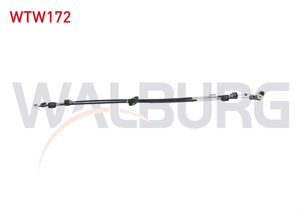 WALBURG WTW172 | Vites Teli Ford Focus III 1.6 Ecoboost 2011-2015 / C-Max II 1.5 Ecoboost 2010 -