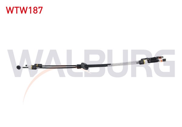 WALBURG WTW187 | Vites Teli Ford Focus I 1.6İ 16V-1.8 TDCI-2.0İ 16V 5 Vites Mtx75 1998-2004