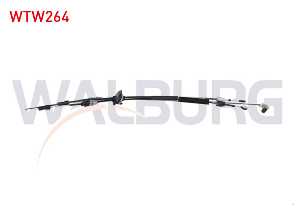 WALBURG WTW264 | Vites Teli Citroen C4 Picasso 1.6 Thp-1.6 HDI 6 M-T (Ml6c) 2006-2013