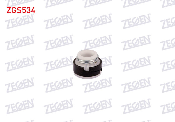 ZEGEN ZGS534 | Subap Lastiği Teflon Renault 9 | 100 Adet