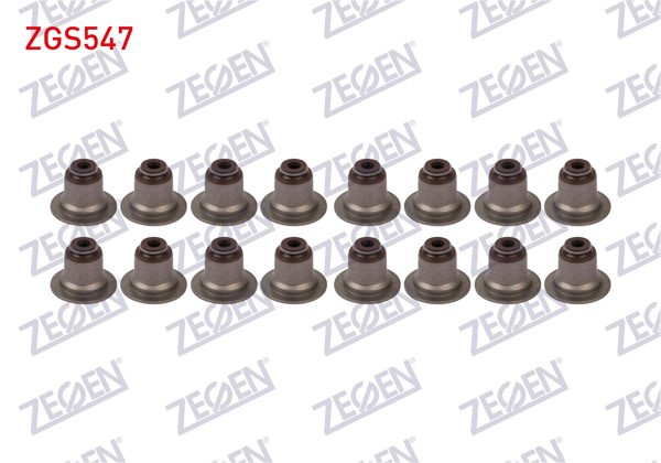 ZEGEN ZGS547 | Subap Lastiği Focus / Fiesta / Mondeo / C-Max / Courıer / Connect 1.0-1.5-1.6 Ecoboost | 16 Adet