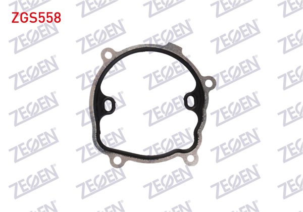 ZEGEN ZGS558 | Devirdaim Su Pompa Contası Master II 2.5 DCI