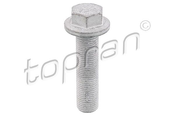 TOPRAN 701617001 | Civata, Kayis Kasnagi / Krank Mili Dislisi