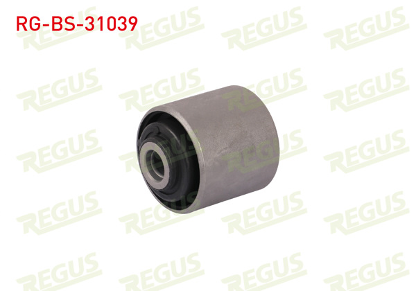 REGUS RG-BS-31039 | Salıncak Denge Kol Burcu Terrano II 2.7 TDI 1993-2007