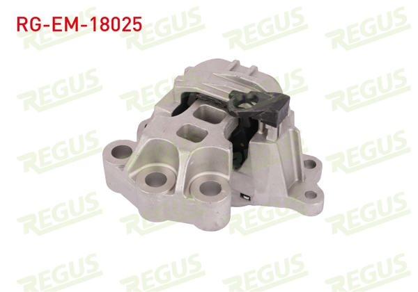 REGUS RG-EM-18025 | Motor Takozu Egea 1.3 Mtj