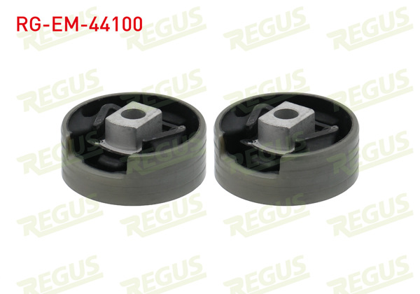 REGUS RG-EM-44100 | Motor Takozu Alt Golf VII / A3 / Leon / Octavia