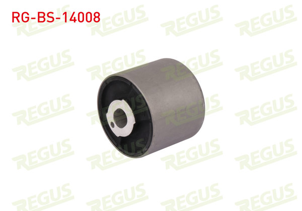 REGUS RG-BS-14008 | Travers Burcu Arka Sol-Sağ Orta BMW 1 Serisi (E81) 116 D 2004-2012