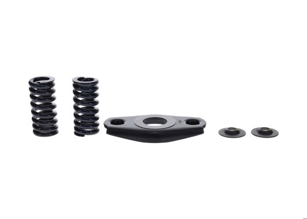 BOSCH 1467010410 | Rotor Yayı