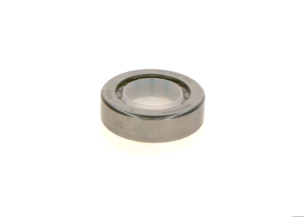 BOSCH 2410914005 | Rulman