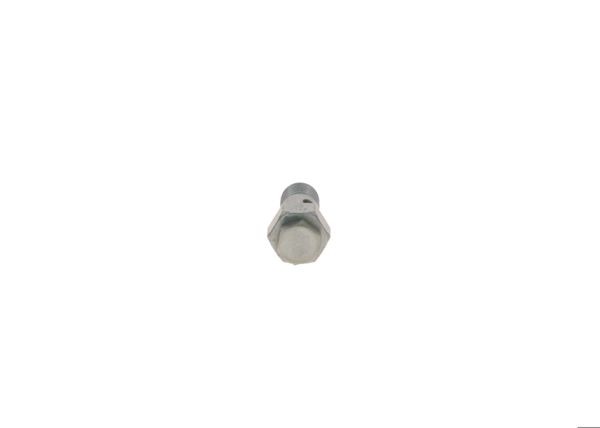 BOSCH 2417413101 | Tahliye Valfi
