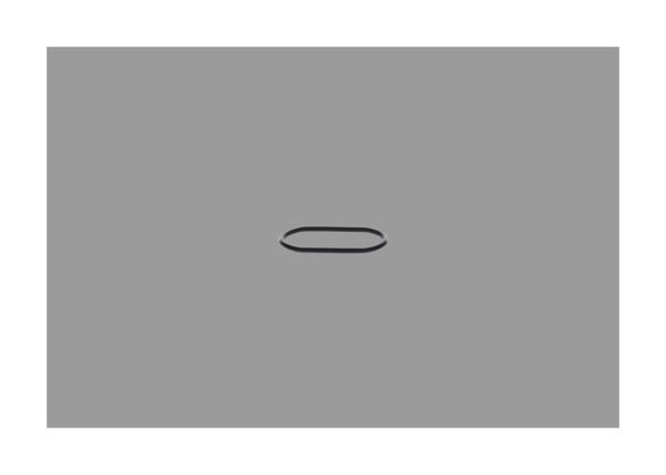 BOSCH 2420210034 | O-Ring
