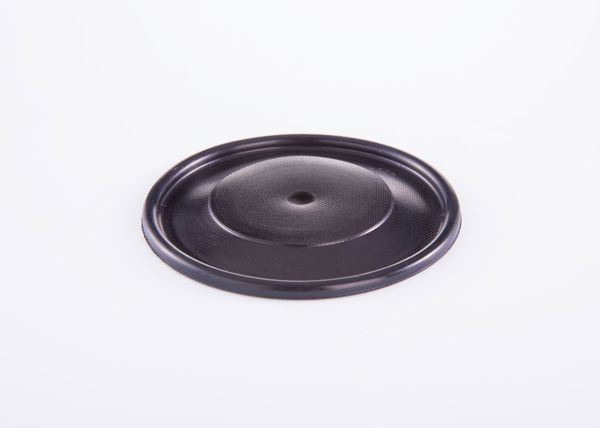 BOSCH 2420503002 | Diyafram