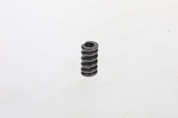 BOSCH 2434614010 | Basınç / Baskı Yayı