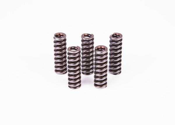 BOSCH 2434614022 | Basınç / Baskı Yayı