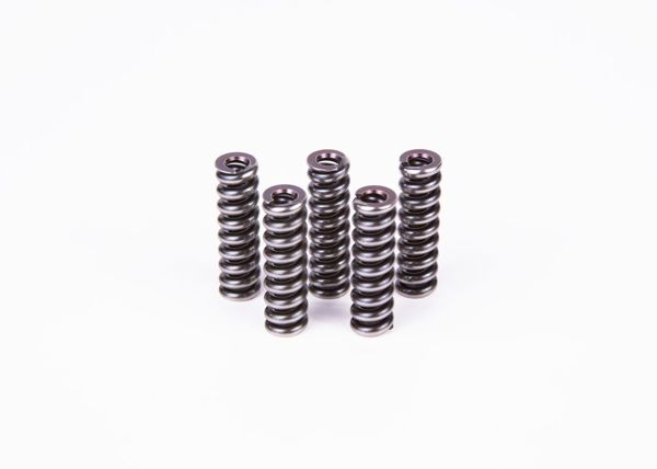 BOSCH 2434614041 | Basınç / Baskı Yayı