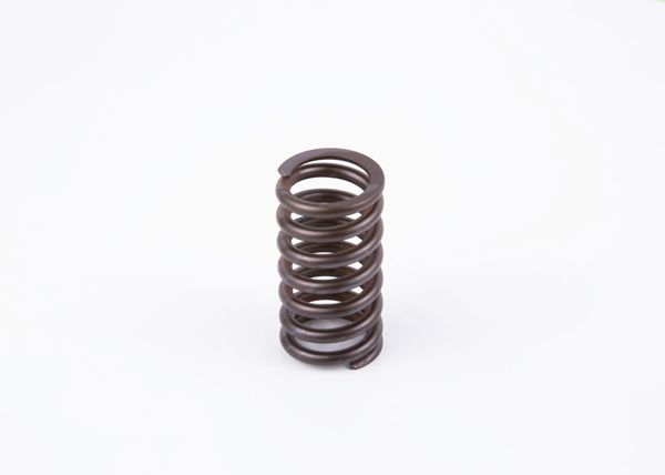 BOSCH 2434619017 | Basınç / Baskı Yayı