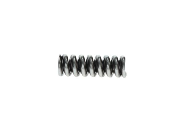 BOSCH 2434619037 | Basınç / Baskı Yayı