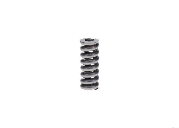 BOSCH 2434619047 | Basınç / Baskı Yayı