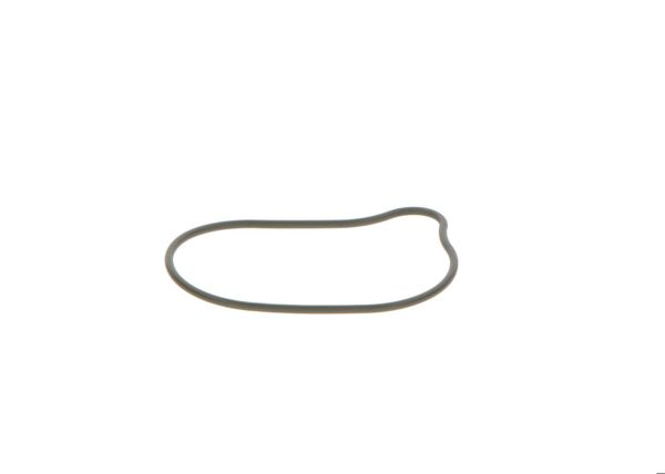 BOSCH 2440210028 | O-Ring