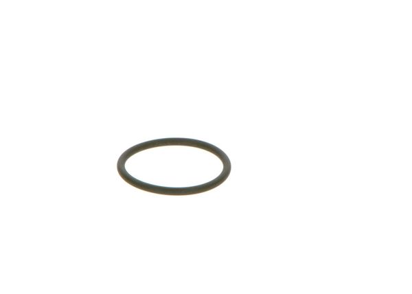 BOSCH 2440210039 | Lastik