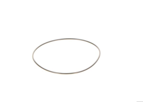 BOSCH 2440210044 | O-Ring Cp2