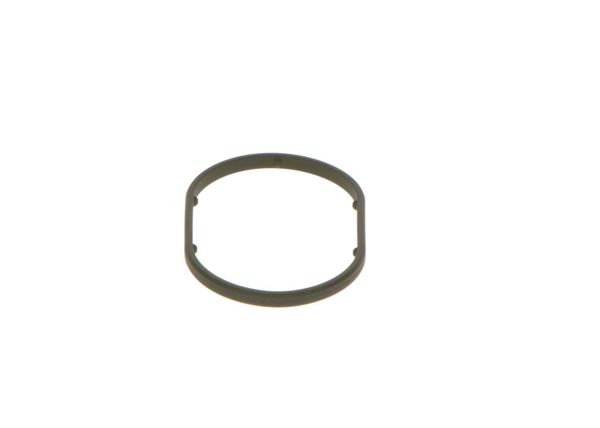 BOSCH 2440210049 | O-Ring Cp1h