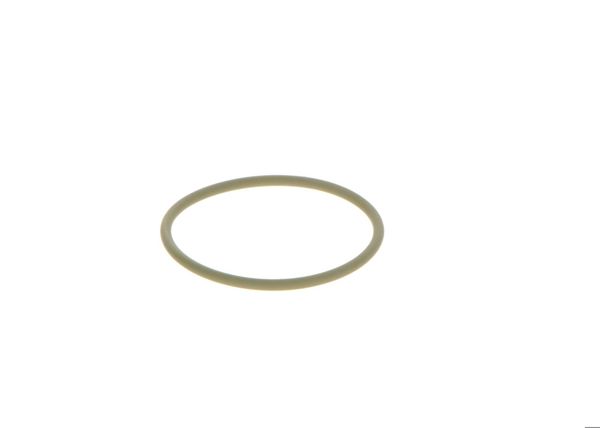 BOSCH 2440210052 | O-Ring